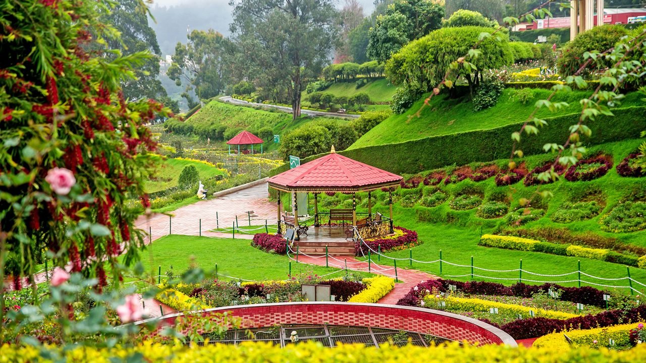 Government Rose Garden Ooty